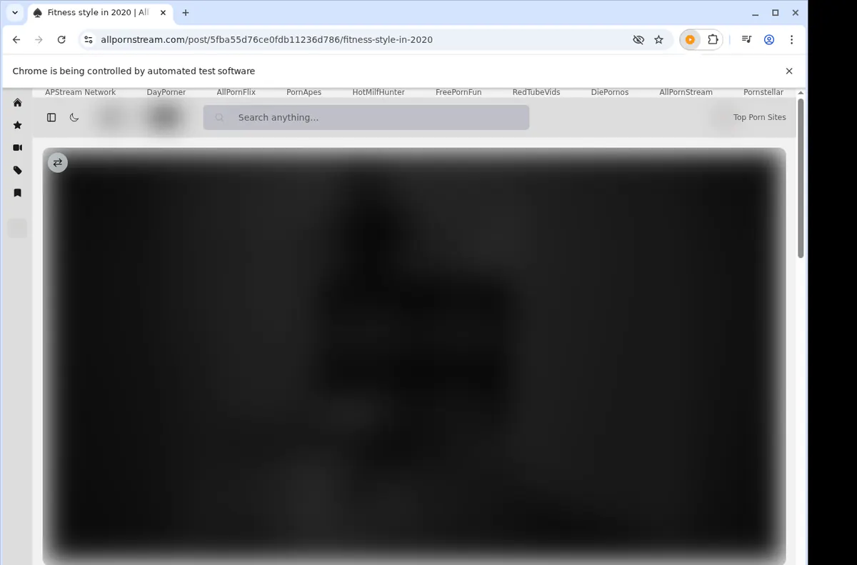 Allpornstream Video Downloader screenshot 5